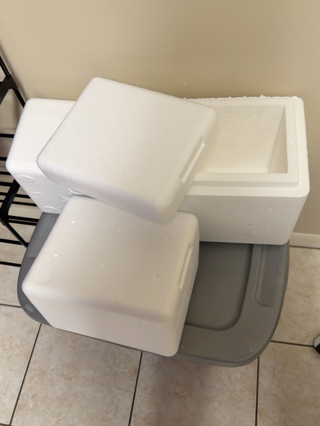 Styrofoam coolers available for insulated cold transport